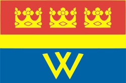 Flag of Vyborg.svg.png