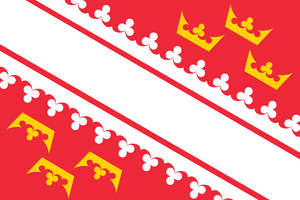 Flag of Alsace.svg.png