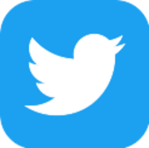 Twitter-app-icon.svg