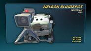 Nelson Blindspot